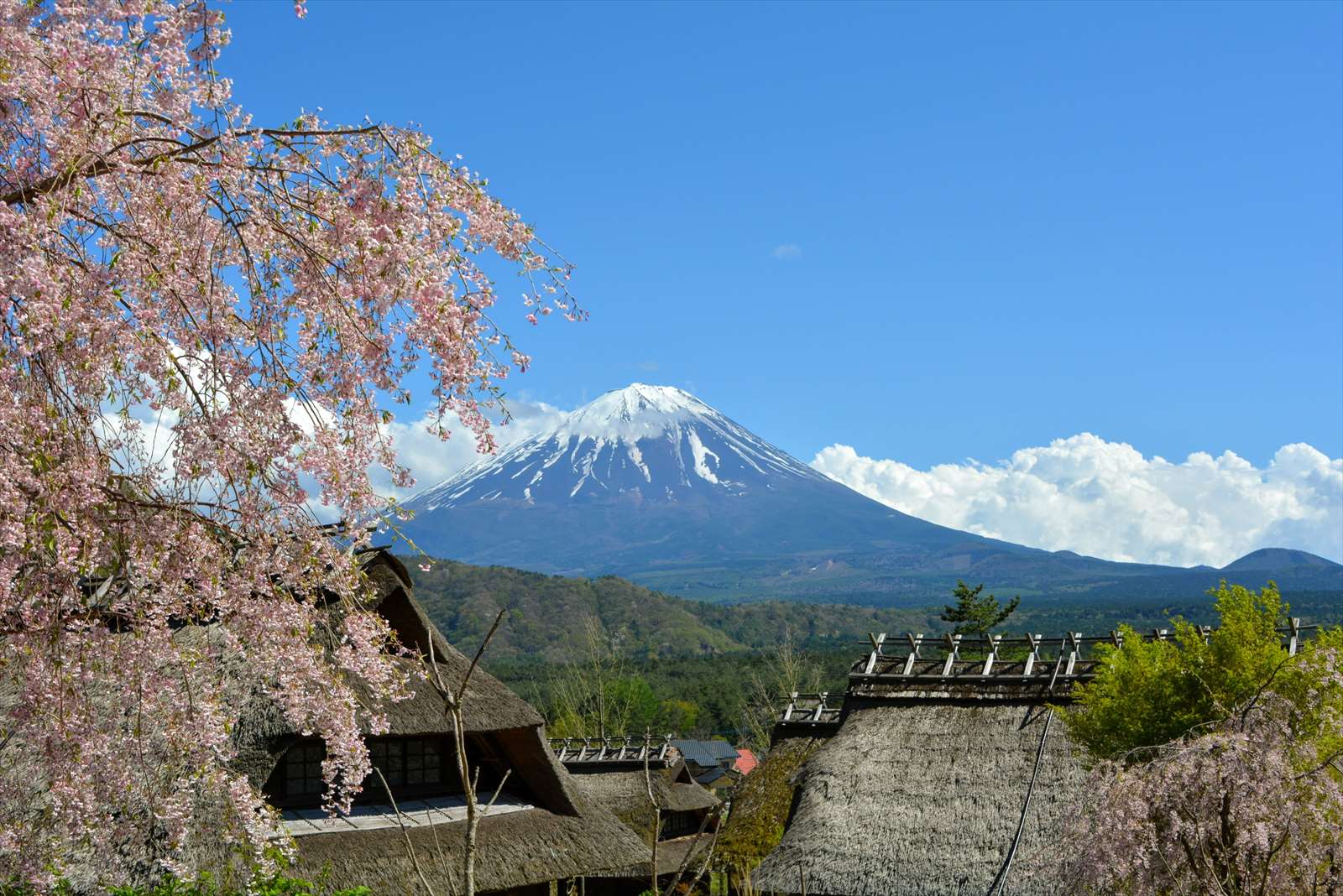 富士山×茅葺屋根】山梨「西湖いやしの里根場」で日本の原風景を