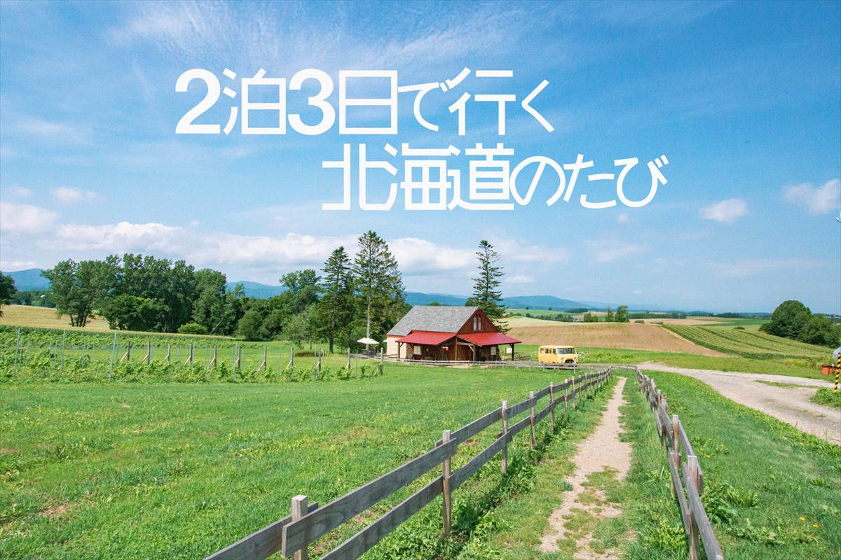 2泊3日北海道たび】夏の富良野・美瑛・札幌・小樽を車で巡る食いだおれ